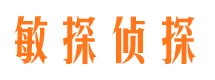 青海侦探公司